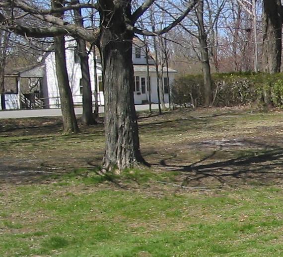 File:Lawn Original2.jpg